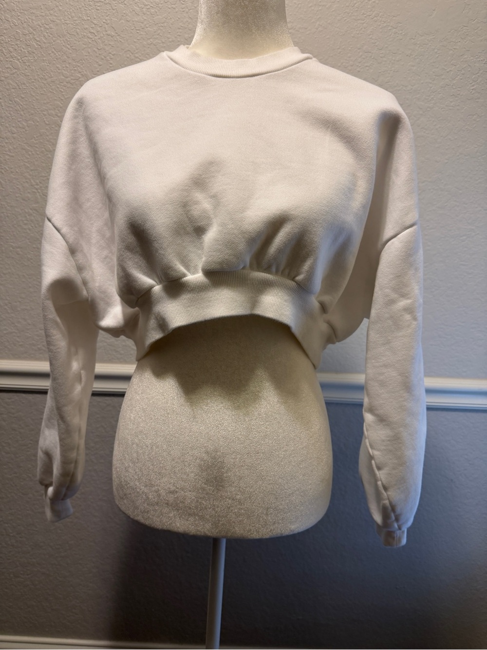 Aritzia Cropped Crewneck Sweatshirt - White